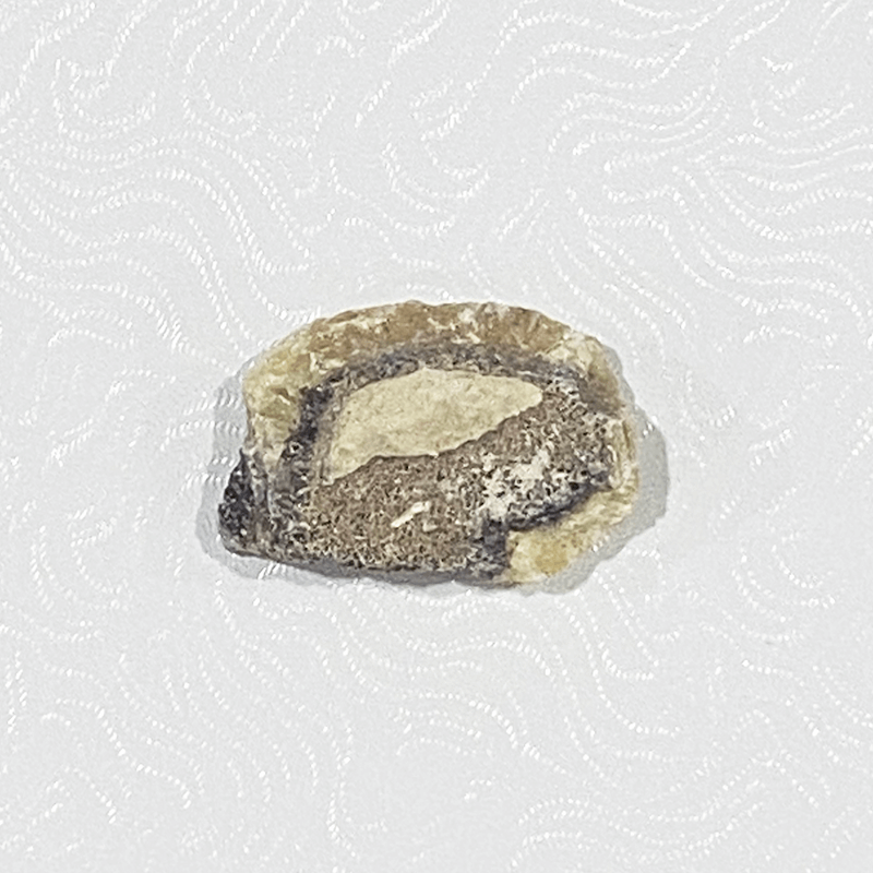 septarian_nodule_raw